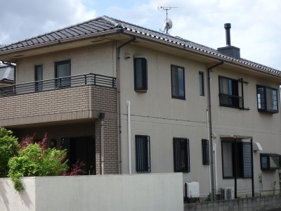 sP4261550.jpg