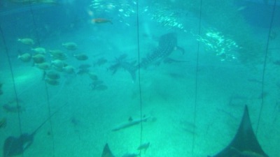 s_DVC00491.jpg